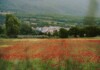 Massa Martana Wild, il festival che racconta la natura dei Monti Martani Massa Martana_panorama2, foto Massa Martana Turismo