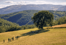 IT.A.CÀ 2026, il viaggio autunnale del turismo responsabile Itacà+escursione+collina