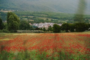 panorama+massa+martana