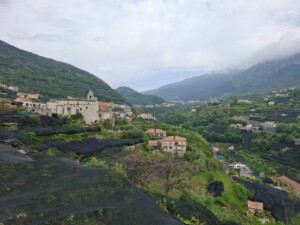 Tramonti, le limonaie, foto Marco Giovenco 