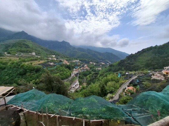 Tramonti, le limonaie, foto Marco Giovenco