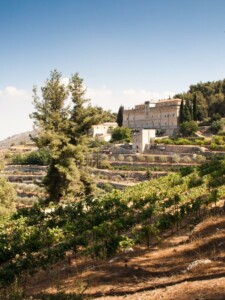 VDA Cremisan, foto Vini d'Abbazia