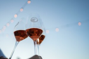 Vini d'Abruzzo, foto Consorzio Tutela Vini d’Abruzzo