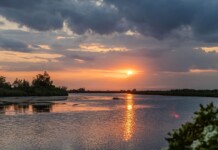 Jesolo tra terra e acqua: quando la natura si fa arte laguna+jesolo