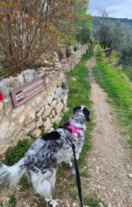 Acquedotto Romano - credits AllTrails