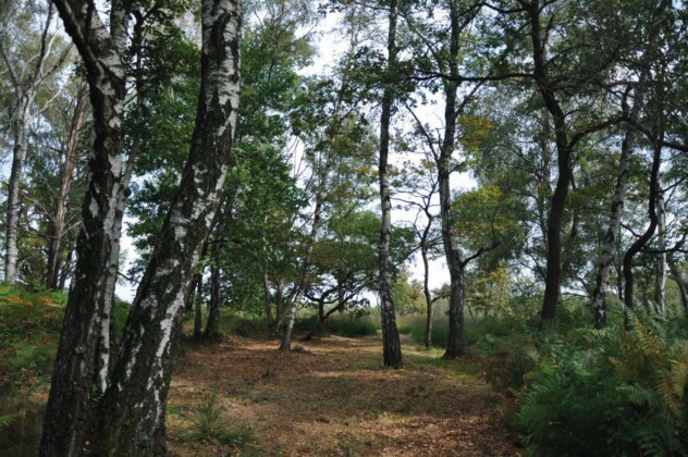 Baraggia, Trekking, foto Novara Turismo