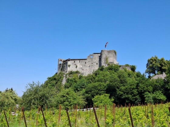 Carinzia, regione di Villach, castello di Finkenstein, foto Marco Giovenco