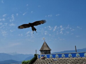 Carinzia, regione di Villach, l'Adlerarena a Landskron, foto Marco Giovenco (44)