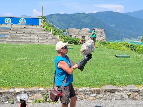 Carinzia, regione di Villach, l'Adlerarena a Landskron, foto Marco Giovenco
