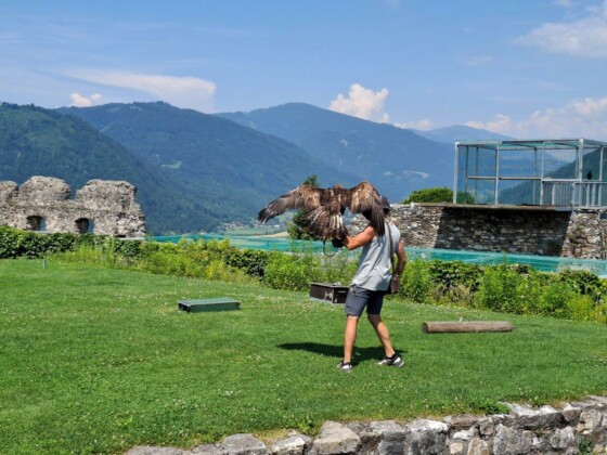 Carinzia, regione di Villach, l'Adlerarena a Landskron, foto Marco Giovenco