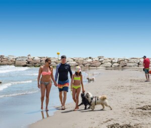 Dog beach a Isamar