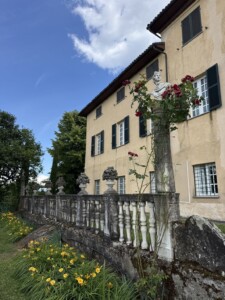 tenuta+marchesa+gavi+novi+ligure