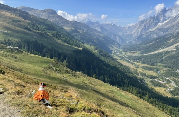 rifugio bonatti cane alltrails