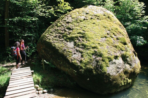 Trekking tour, foto Novara Turismo