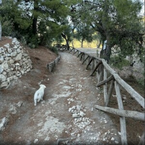 Vignanotica - Mergoli - credits AllTrails