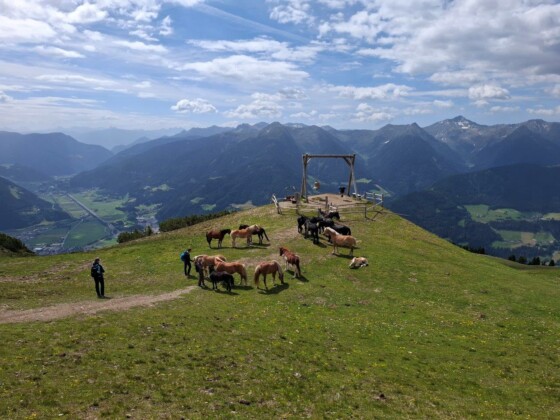 Vipiteno, Monte Cavallo, foto Marco Giovenco