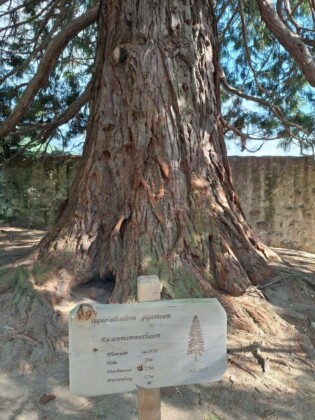 Abbazia di Novacella, il giardino barocco. Foto Marco Giovenco