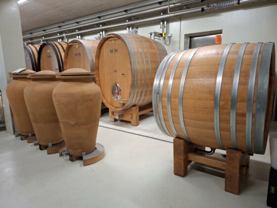 Abbazia di Novacella, la cantina. Foto Marco Giovenco