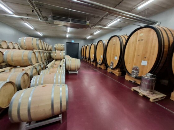Abbazia di Novacella, la cantina. Foto Marco Giovenco