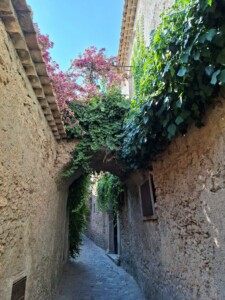 Gerace, i vicoli con i classici passaggi aerei, foto Marco Giovenco