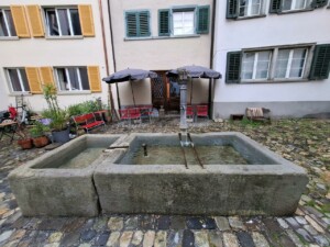 Svizzera, Coira, fontana di Hegisplatz. Foto Marco Giovenco