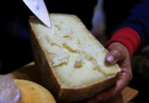 Casearia 2026 ad Agnone: il festival del formaggio italiano formaggio, foto Casearia