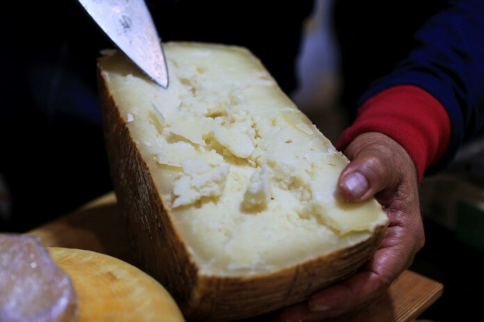 formaggio, foto Casearia formaggio, foto Casearia