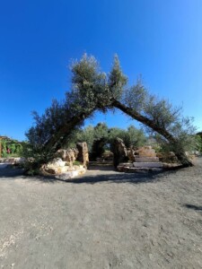 Fossanova, i giardini segreti di Aumenta Dreams. Foto Marco Giovenco