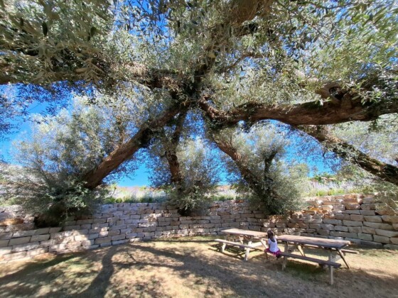 Fossanova verde, i giardini segreti di Aumenta Dreams. Foto Marco Giovenco