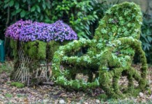 Autunno al Castello di Strassoldo. Magici Intrecci Magici Intrecci Autunnali
