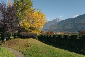 Lana region, foliage, foto Lanaregion